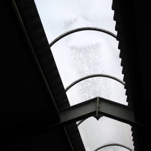 Lichtplaat PET 1,20 mm helder, gebogen, van onderaf gezien, met dakconstructie