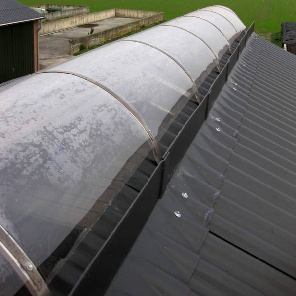 Polyester lichtplaat 1,30 mm, helder, als lichtstraat op een dak met donkere damwandplaten, schuin aanzicht