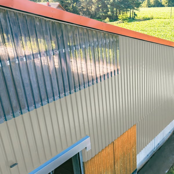 Bedrijfshal met wandbekleding van damwandplaat 20/1100 Zilver-Metallic en lichtplaten