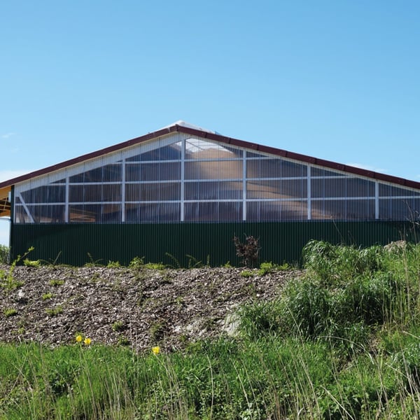 Polycarbonaat damwandplaat | 207/35 | 1,20 mm | Helder | UV-wering 2-zijdig | 4,00 m