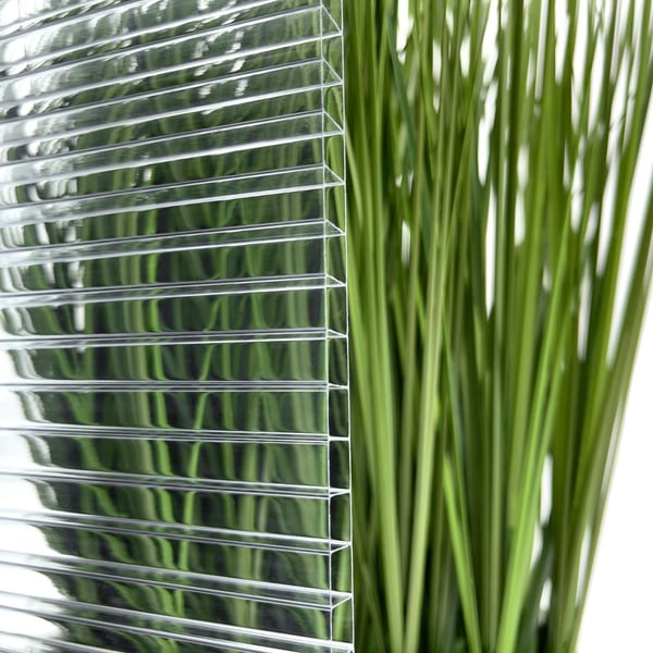 Polycarbonaat dubbelwandige plaat 10 mm helder, detail van de celstructuur voor groene plant