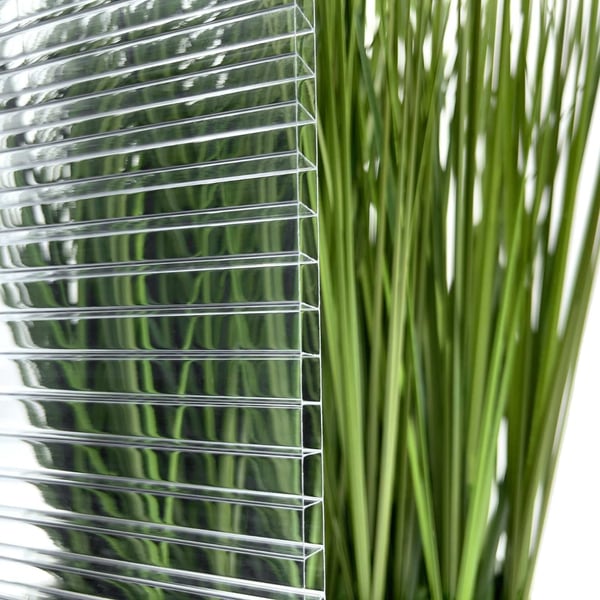 Polycarbonaat kanaalplaat 10 mm, helder, detailweergave voor groene plant