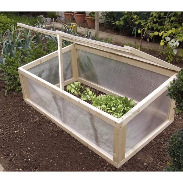 Kweekbak van hout met polycarbonaat dubbelwandige platen 6 mm, helder, beplant met sla