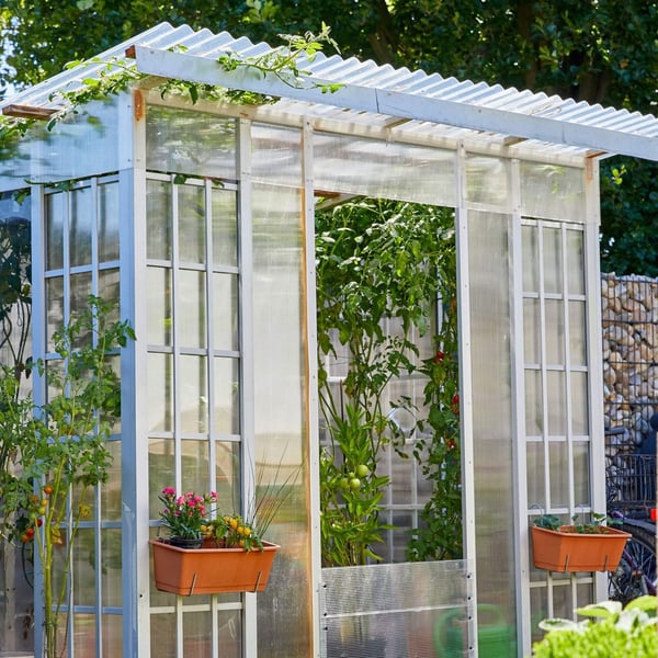 Kas met polycarbonaat dubbelwandige platen 6 mm, helder, beplant met tomaten en bloembakken