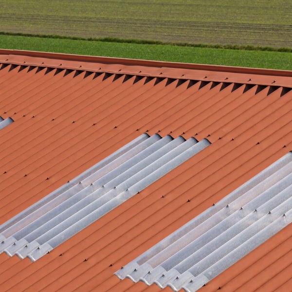Dak met terracotta golfplaten en transparante lichtplaten, close-up