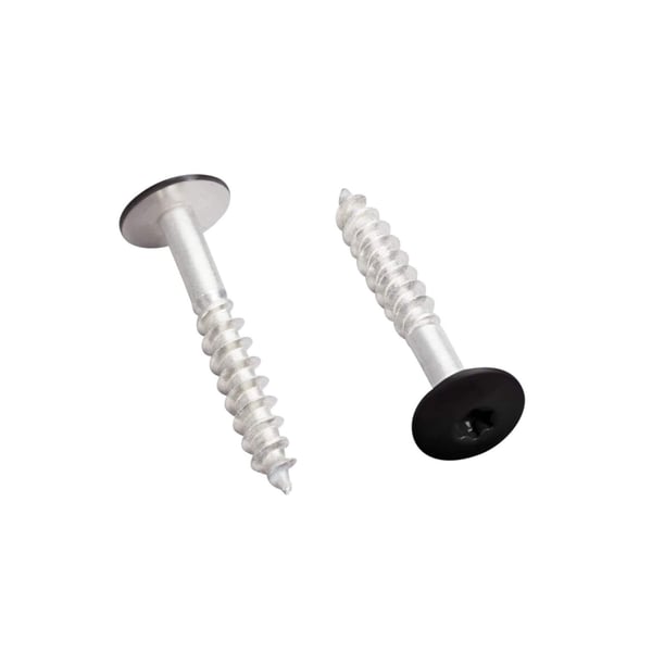 RVS schroeven, twee zwarte Scobalit schroeven met Torx-aandrijving en platte kop