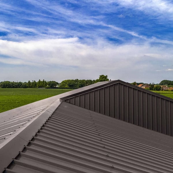Sandwichpaneel ECO 1000-30 dak, bruin, op gebouw met zadeldak