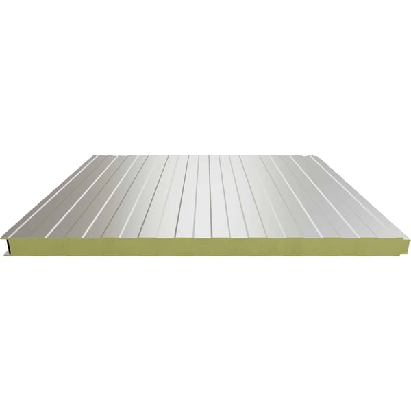 Sandwich Paneel Wall 1150 60 | Gevel | Kern 6 cm | 25 µm Polyester | 9002 - Grijswit | 5,50 m