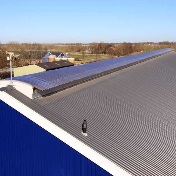Lange rij gebogen polycarbonaat lichtplaten 10mm, helder, op een industrieel dak