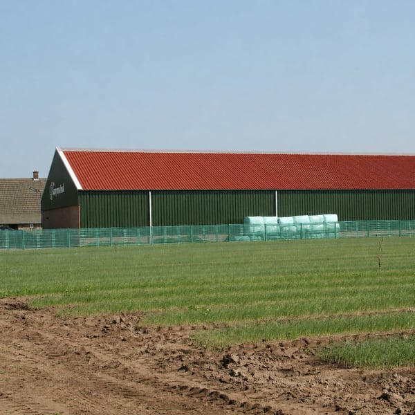 Grote schuur met vezelcement golfplaten 6,00 mm terracotta dak