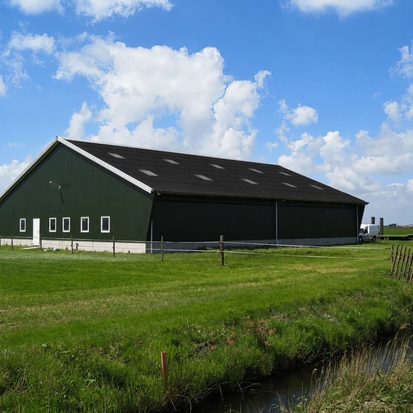 Grote schuur met zwart golfplaten dak en groene wanden in een weide onder blauwe lucht