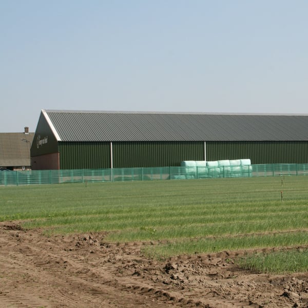 Grote schuur met groen dak en wanden, met zwarte golfplaten van vezelcement op het dak