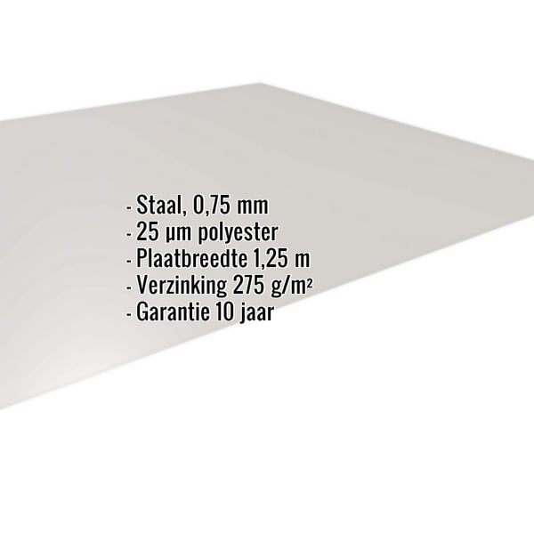 Vlakke plaat staal 0,75 mm zilver-metallic met ingebedde specificaties