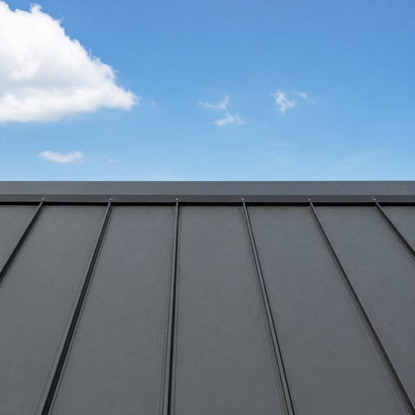 Nokprofiel op een felsdak met ventilatielijst tussen de felsen