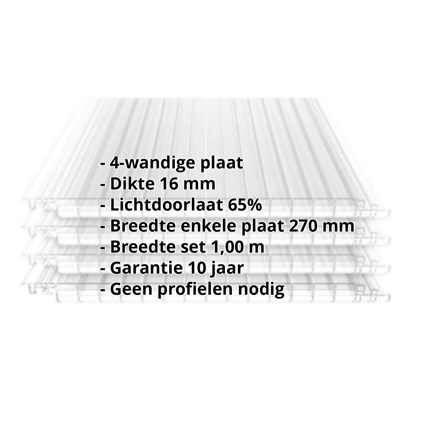 Polycarbonaat Click Paneel | 16 mm | Werkende breedte 250 mm | Lengte 2,50 m | Helder, ijs-effect | 2500 mm #2