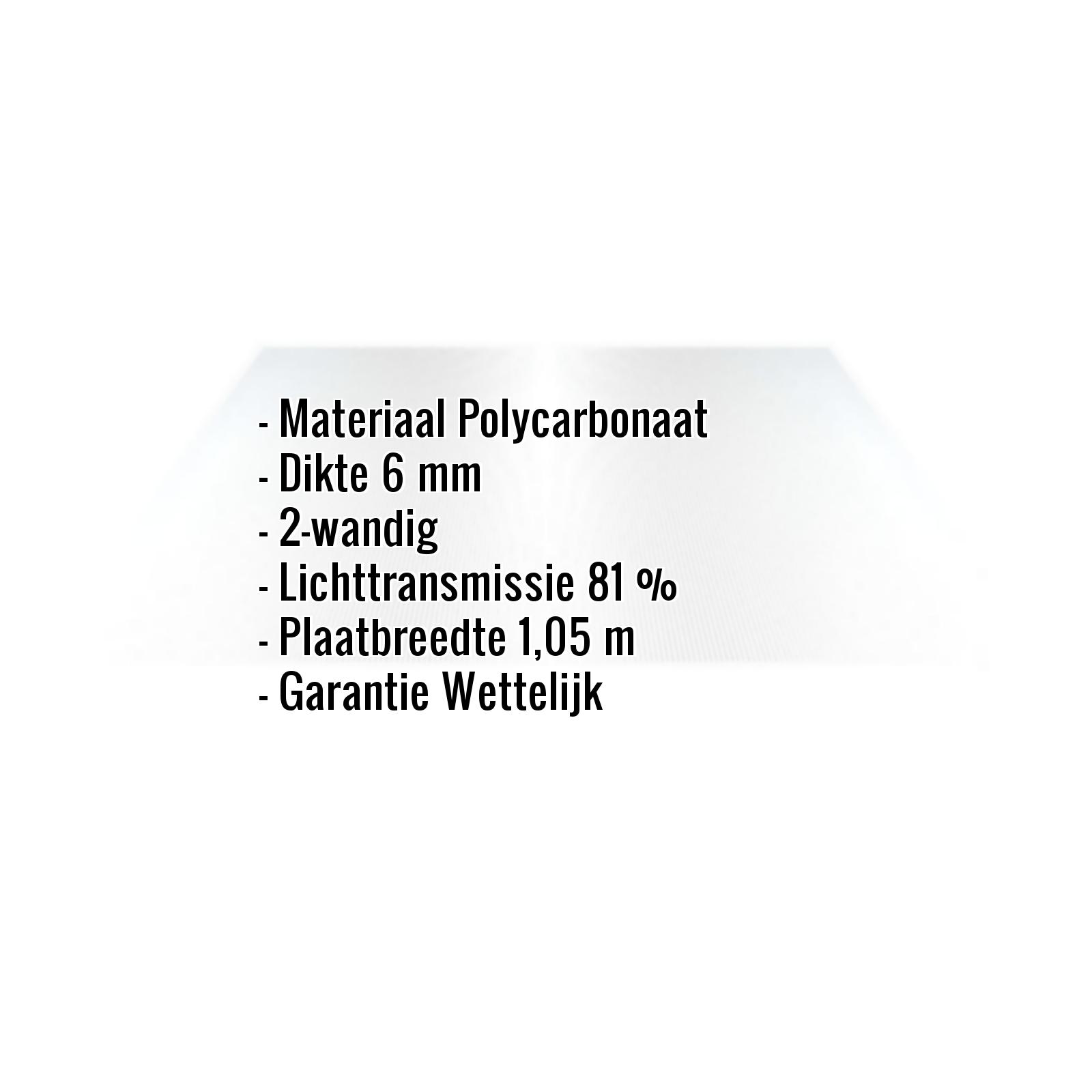 Polycarbonaat holle kamerplaat dikte 6 mm 200 x 100 cm transparant Polycarbonaat holle kamerplaat dikte 6 mm 200 x 100 cm transparant