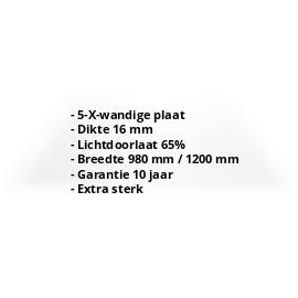 Polycarbonaat kanaalplaat | 16 mm | Breedte 980 mm | Helder | Extra sterk | 500 mm #2
