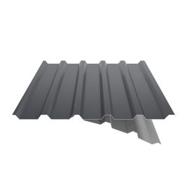 Damwandplaat 35/207 | Dak | Anti-Drup 1000 g/m² | Staal 0,50 mm | 25 µm Polyester | 7016 - Antracietgrijs #5