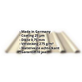 Damwandplaat PS35/1035TR | 25 µm Polyester | Dak | Staal 0,75 mm | 1015 - Licht ivoorkleurig #2
