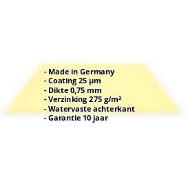 Vlakke plaat | 25 µm Polyester | Staal 0,75 mm | 1015 - Licht ivoorkleurig #2