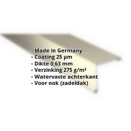 Nok lessenaarsdak | 25 µm Polyester | 115 x 115 mm | 80° | Staal 0,63 mm | 1015 - Licht ivoorkleurig #2