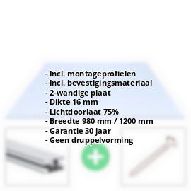 Acrylaat kanaalplaat | 16 mm | Profiel DUO | Voordeelpakket | Plaatbreedte 980 mm | Kristalblauw | Breedte 3,09 m | Lengte 2,00 m #2