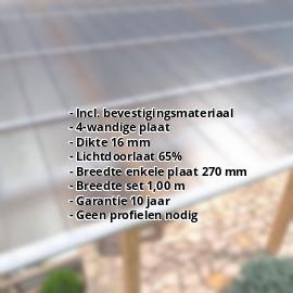 Polycarbonaat Click Paneel | 16 mm | Voordeelpakket | Plaatbreedte 270 mm | Helder, ijs-effect | Breedte 3,00 m | Lengte 2,50 m #2