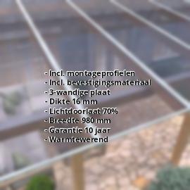 Polycarbonaat kanaalplaat | 16 mm | Profiel DUO | Voordeelpakket | Plaatbreedte 980 mm | Helder, licht violet | 3,09 m | Lengte 2,00 m #2