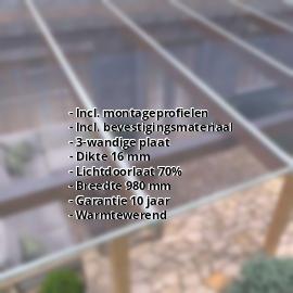 Polycarbonaat kanaalplaat | 16 mm | Profiel ECO | Voordeelpakket | Plaatbreedte 980 mm | Helder, licht violet | Breedte 3,05 m | Lengte 2,00 m #2