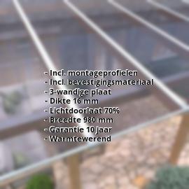 Polycarbonaat kanaalplaat | 16 mm | Profiel Zeven | Voordeelpakket | Plaatbreedte 980 mm | Helder, licht violet | 3,13 m | Lengte 2,00 m #2