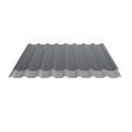 Damwandplaat 20/1100 | Dak | Anti-Drup 1000 g/m² | Staal 0,63 mm | 25 µm Polyester | 7016 - Antracietgrijs #8