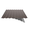 Damwandplaat 20/1100 | Dak | Anti-Drup 1000 g/m² | Staal 0,75 mm | 25 µm Polyester | 8011 - Notenbruin #9