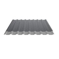 Damwandplaat 20/1100 | Dak | Anti-Drup 1000 g/m² | Staal 0,50 mm | 60 µm Puramid | 7016 - Antracietgrijs #8