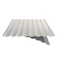 Damwandplaat 20/1100 | Dak | Anti-Drup 2400 g/m² | Staal 0,50 mm | 25 µm Polyester | 9010 - Zuiverwit #9