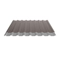 Damwandplaat 20/1100 | Dak | Anti-Drup 2400 g/m² | Staal 0,75 mm | 25 µm Polyester | 8011 - Notenbruin #8