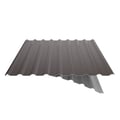 Damwandplaat 20/1100 | Dak | Anti-Drup 700 g/m² | Staal 0,50 mm | 25 µm Polyester | 8014 - Sepiabruin #9