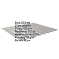 Damwandplaat 20/1100 | Dak | Anti-Drup 700 g/m² | Staal 0,50 mm | 25 µm Polyester | 9007 - Grijs aluminiumkleurig #2