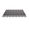 Damwandplaat 20/1100 | Dak | Anti-Drup 700 g/m² | Staal 0,63 mm | 25 µm Polyester | 8017 - Chocoladebruin #8