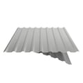 Damwandplaat 20/1100 | Dak | Anti-Drup 700 g/m² | Staal 0,63 mm | 25 µm Polyester | 9006 - Zilver-Metallic #9