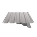 Damwandplaat 35/207 | Dak | Anti-Drup 2400 g/m² | Staal 0,50 mm | 25 µm Polyester | 7035 - Lichtgrijs #9