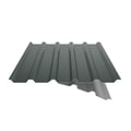 Damwandplaat 35/207 | Dak | Anti-Drup 2400 g/m² | Staal 0,50 mm | 60 µm Puramid | 6005 - Mosgroen #9