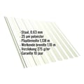 Damwandplaat T18DR | Dak | Staal 0,63 mm | 25 µm Polyester | 9002 - Grijswit #2