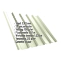 Damwandplaat T35/207M | Dak | Anti-Drup 700 g/m² | Staal 0,63 mm | 25 µm Polyester | 9002 - Grijswit #2