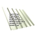 Damwandplaat T35M | Dak | Anti-Drup 700 g/m² | Staal 0,63 mm | 25 µm Polyester | 9002 - Grijswit #2