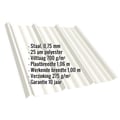 Damwandplaat T45/333M | Dak | Anti-Drup 700 g/m² | Staal 0,75 mm | 25 µm Polyester | 9010 - Zuiverwit #2
