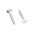 RVS schroeven | 5,5 x 35 mm | Zuiverwit #1