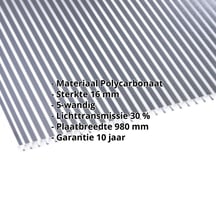 Polycarbonaat kanaalplaat | 16 mm | Breedte 980 mm | Helder / antraciet gestreept | Dubbelzijdige UV-bescherming | #2