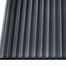 Polycarbonaat kanaalplaat | 16 mm | Breedte 980 mm | Grafiet | Extra sterk | 2000 mm #3