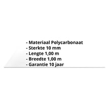 Polycarbonaat massieve plaat | 10 mm | Helder | 1,00 x 1,00 m #2