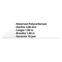 Polycarbonaat massieve plaat | 4 mm | Helder | 1,00 x 1,00 m #2
